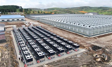 助力綠色農業發展！貴州3萬平蔬菜大棚建設碧淶空氣能采暖工程